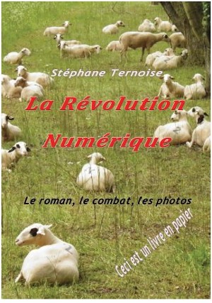 roman 2013 livre 2013