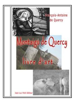 livre sur Montaigu en n b