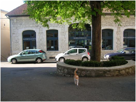 Montcuq, aucun de mes livres  la bibliothque